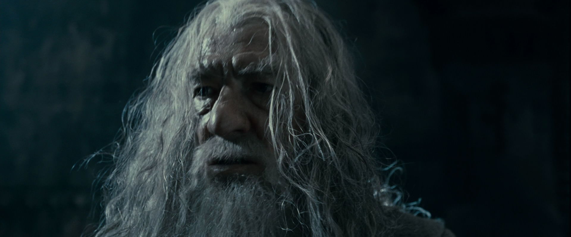 The Lord of the Rings: The Fellowship of the Ring (2001) screencap 16311