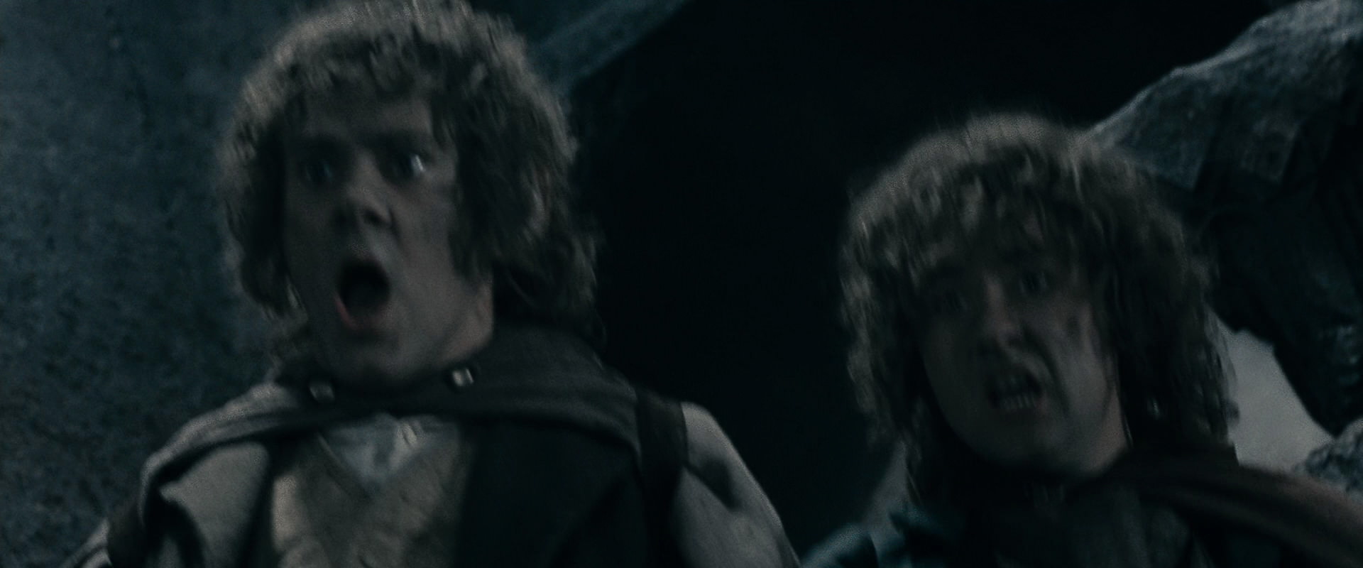 The Lord of the Rings: The Fellowship of the Ring (2001) HD screenshot 16313