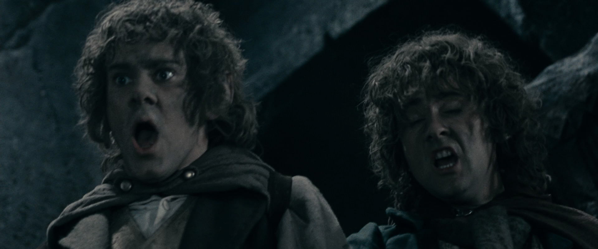 The Lord of the Rings: The Fellowship of the Ring (2001) screencap 16314
