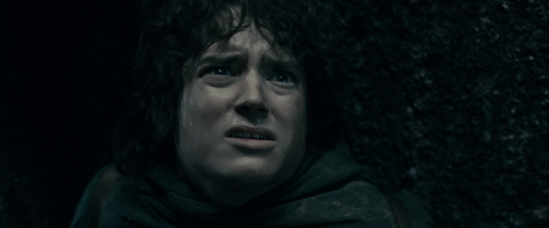 The Lord of the Rings: The Fellowship of the Ring (2001) movie still 16315
