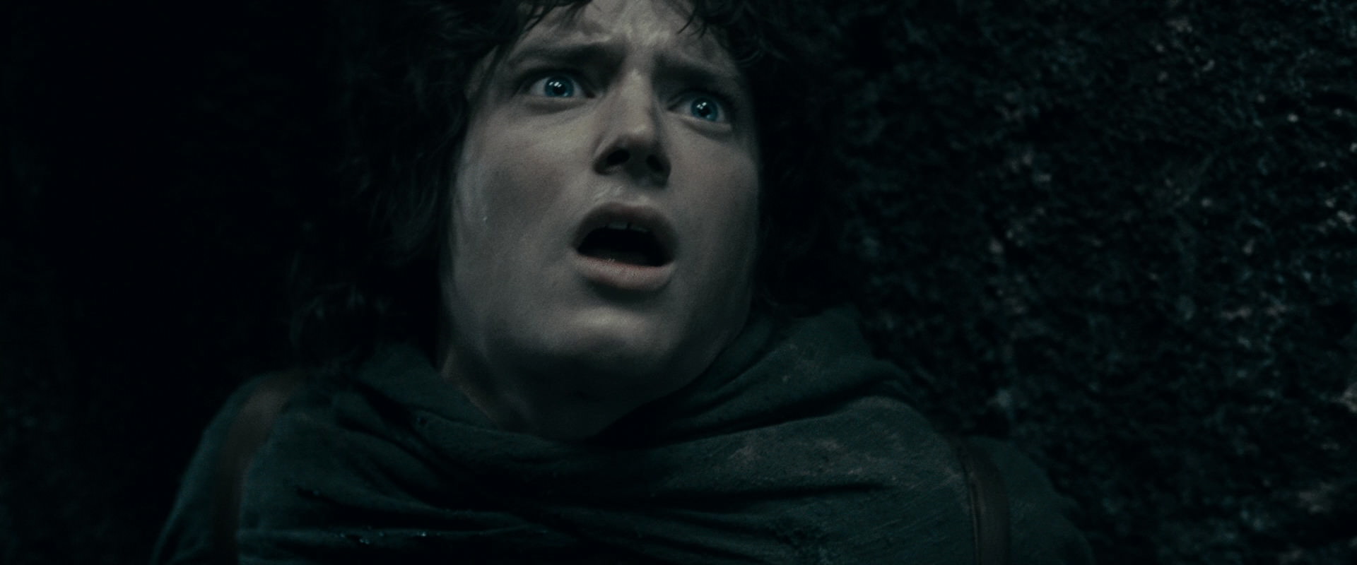 The Lord of the Rings: The Fellowship of the Ring (2001) screencap 16317