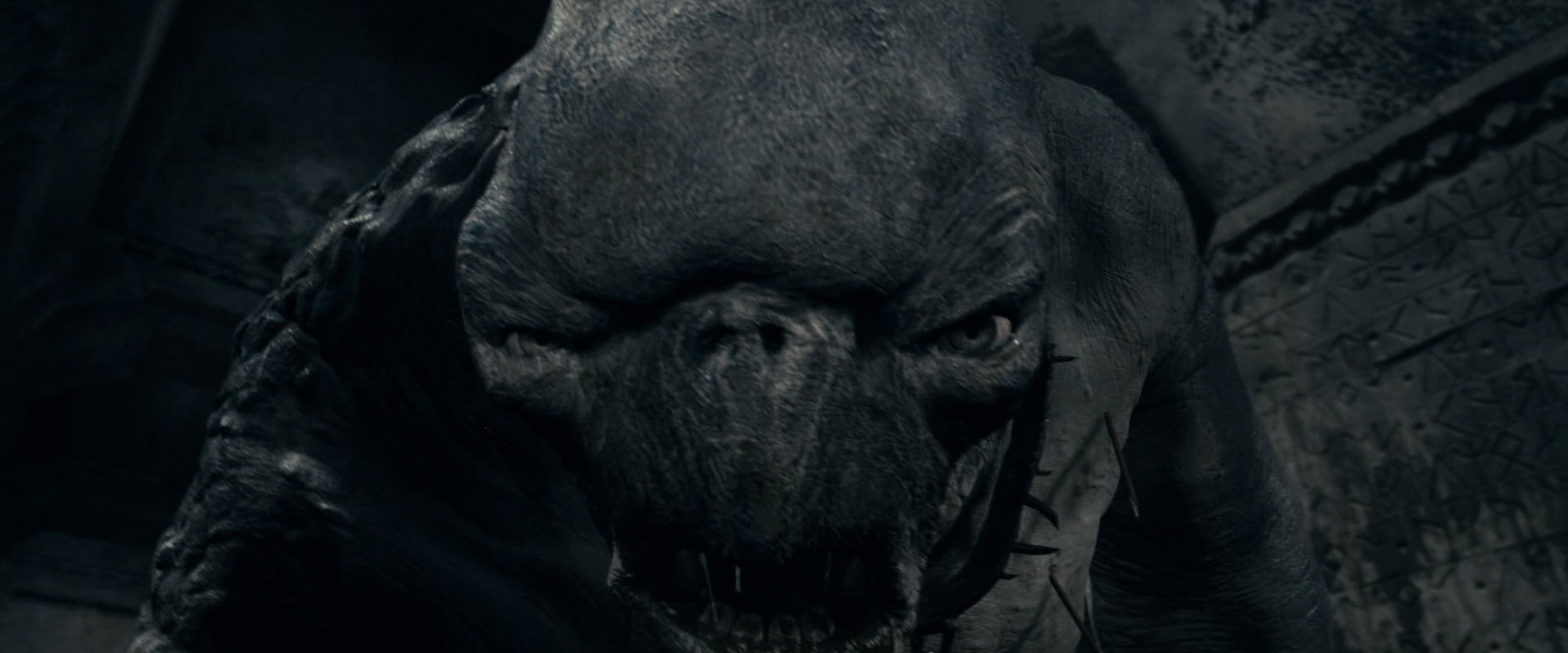 The Lord of the Rings: The Fellowship of the Ring (2001) HD screenshot 16322