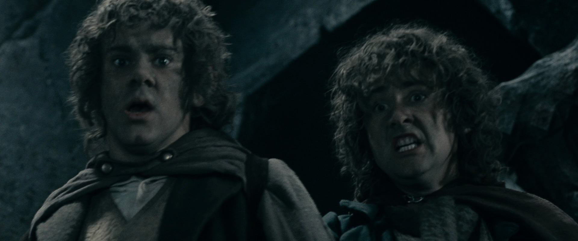 The Lord of the Rings: The Fellowship of the Ring (2001) screencap 16326