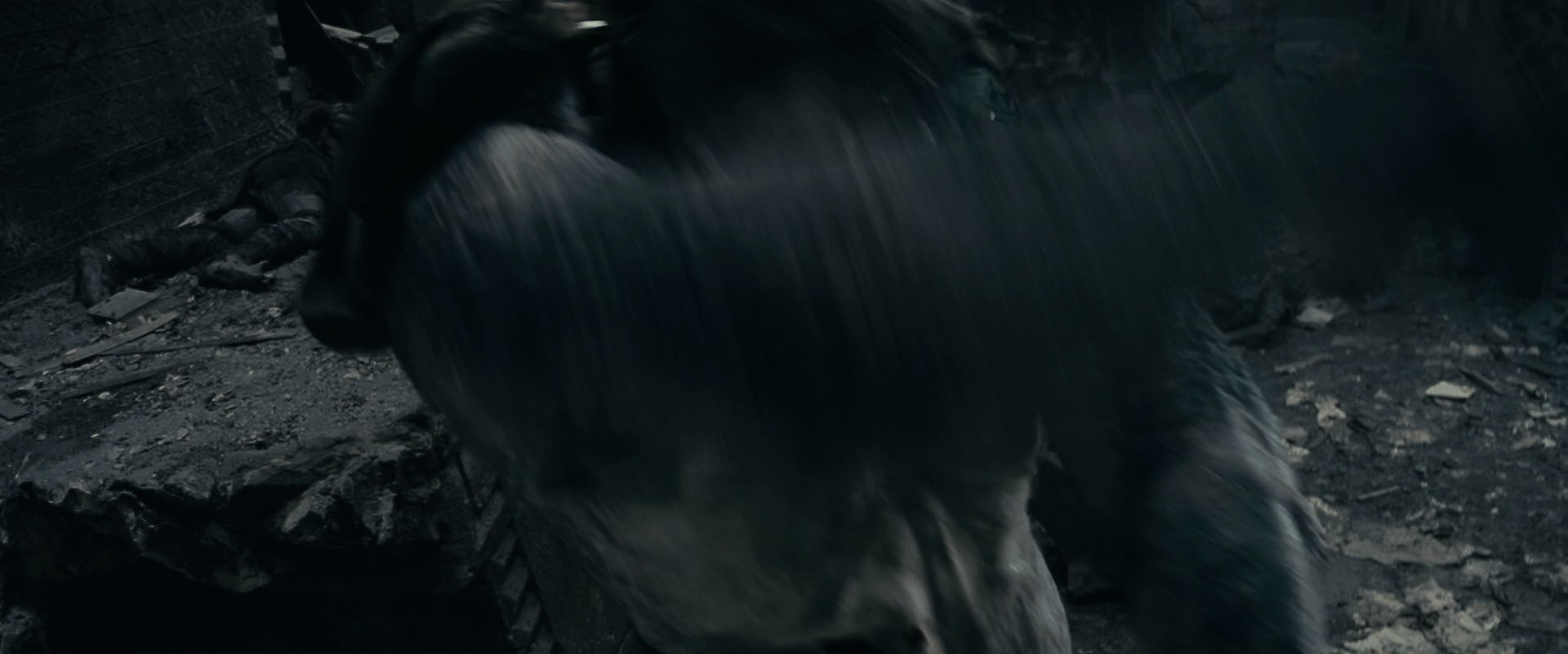 The Lord of the Rings: The Fellowship of the Ring (2001) HD screenshot 16334