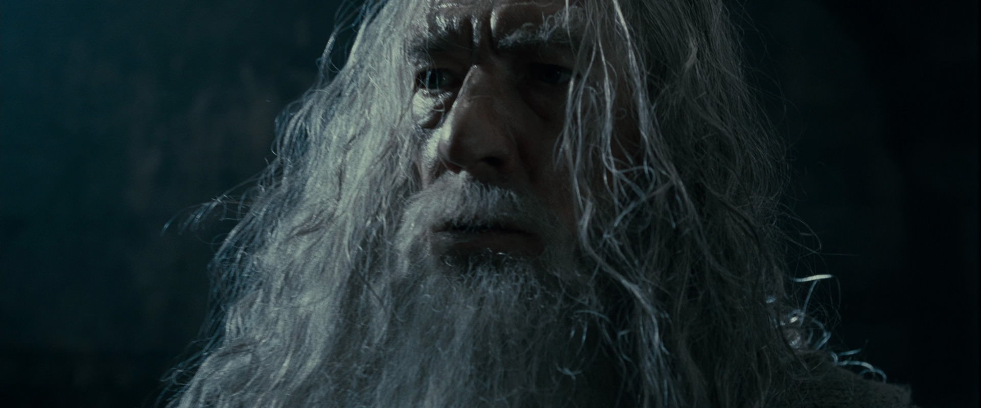 The Lord of the Rings: The Fellowship of the Ring (2001) screencap 16338