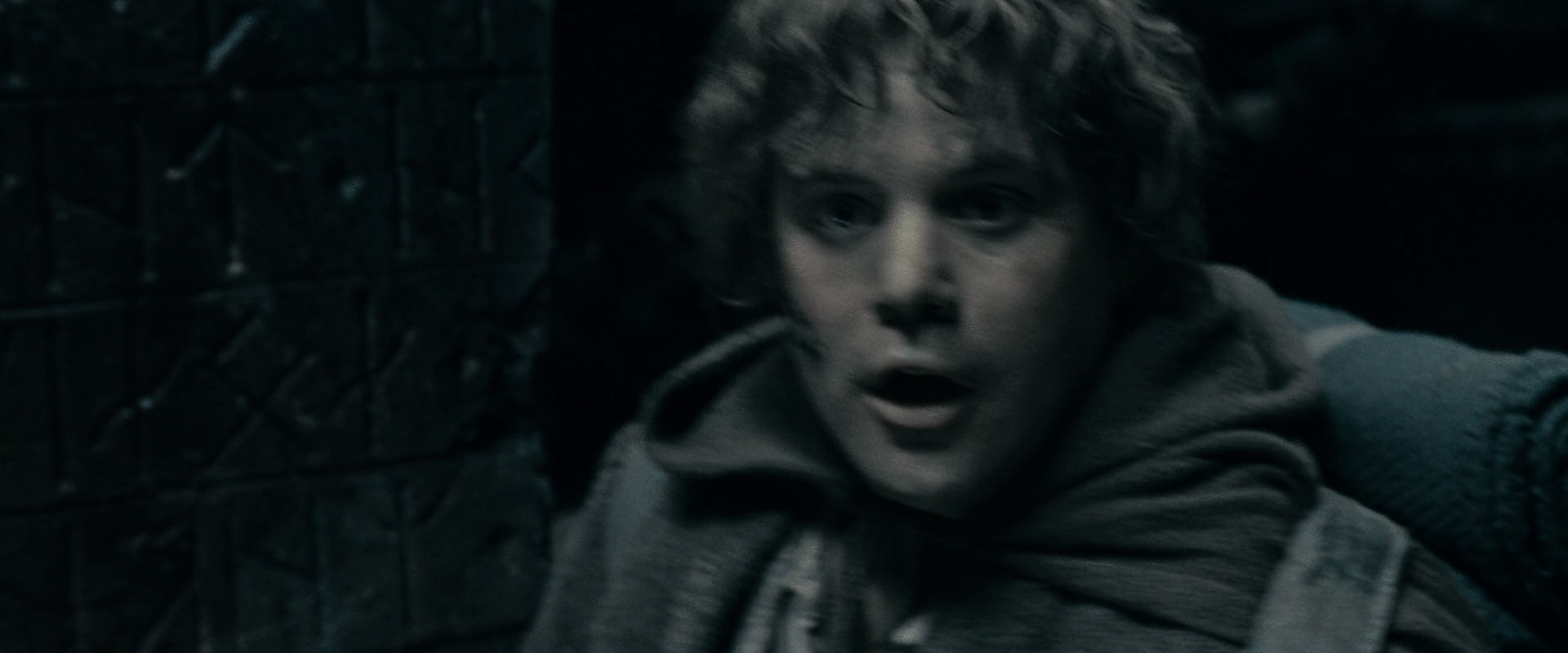 The Lord of the Rings: The Fellowship of the Ring (2001) screencap 16341