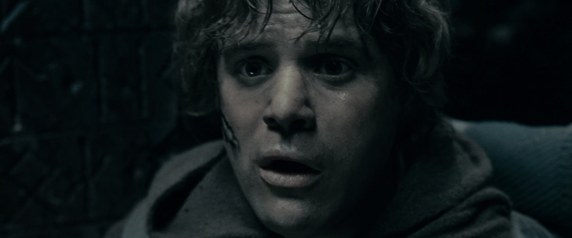 The Lord of the Rings: The Fellowship of the Ring (2001) HD screenshot 16343