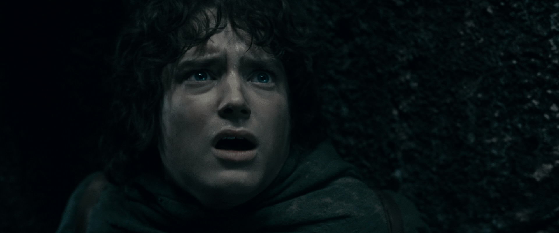 The Lord of the Rings: The Fellowship of the Ring (2001) screencap 16344