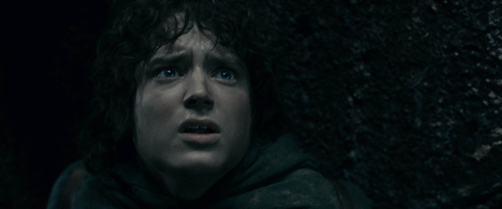 The Lord of the Rings: The Fellowship of the Ring (2001) HD screenshot 16346