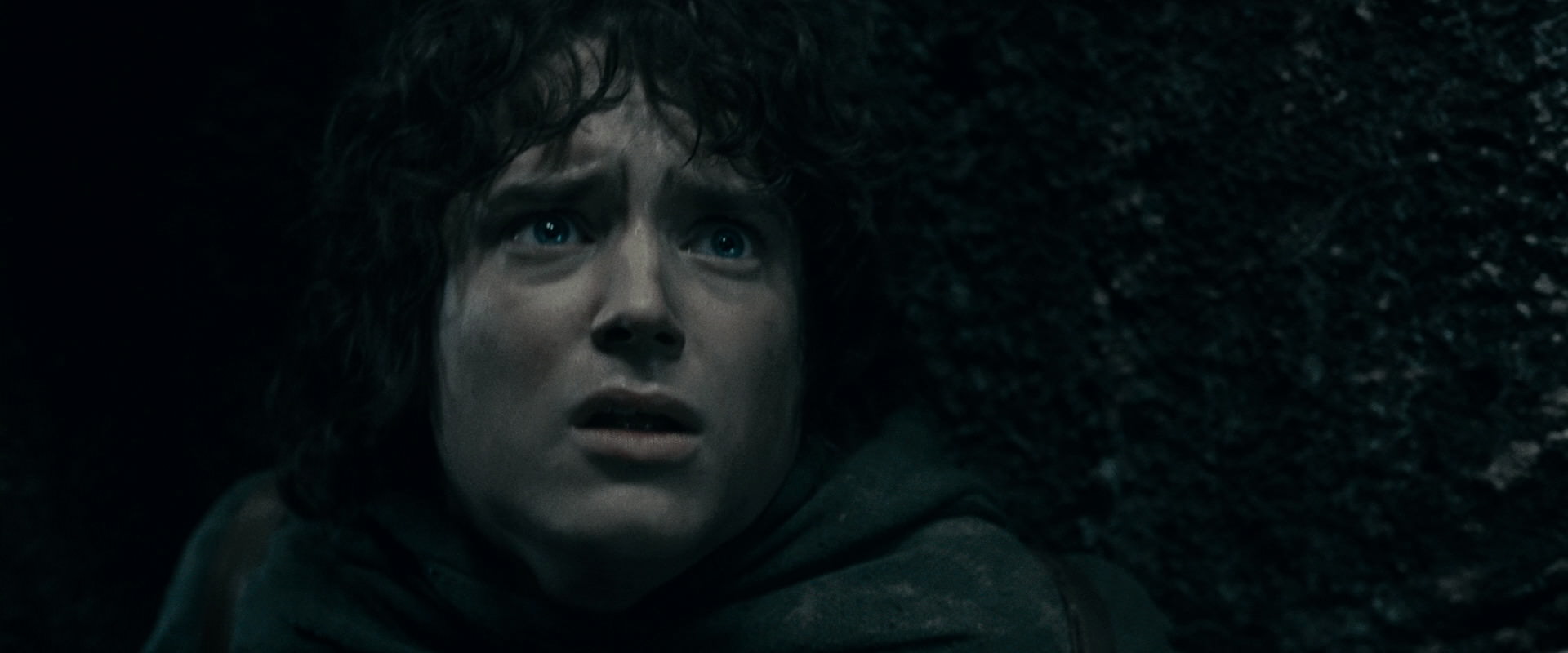 The Lord of the Rings: The Fellowship of the Ring (2001) screencap 16347