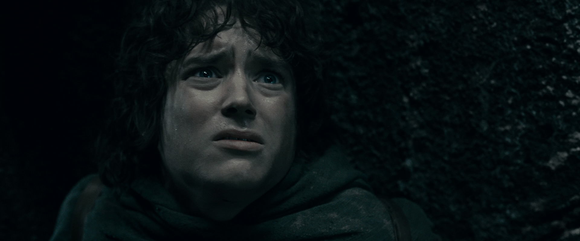 The Lord of the Rings: The Fellowship of the Ring (2001) HD screenshot 16349