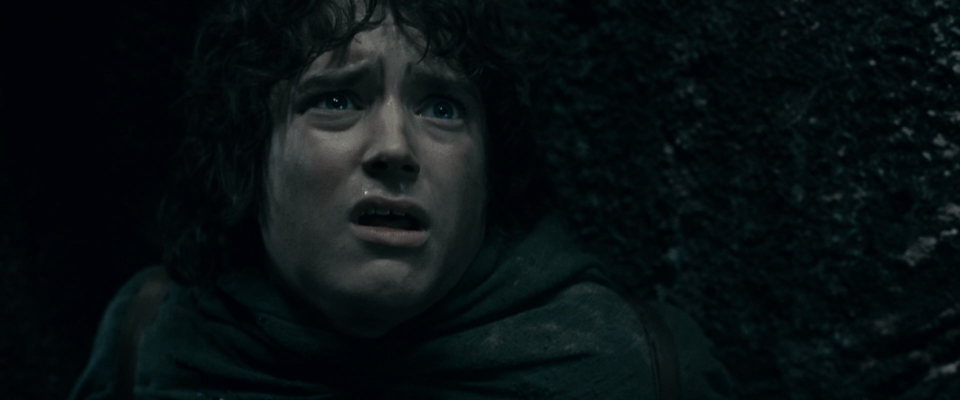 The Lord of the Rings: The Fellowship of the Ring (2001) screencap 16350