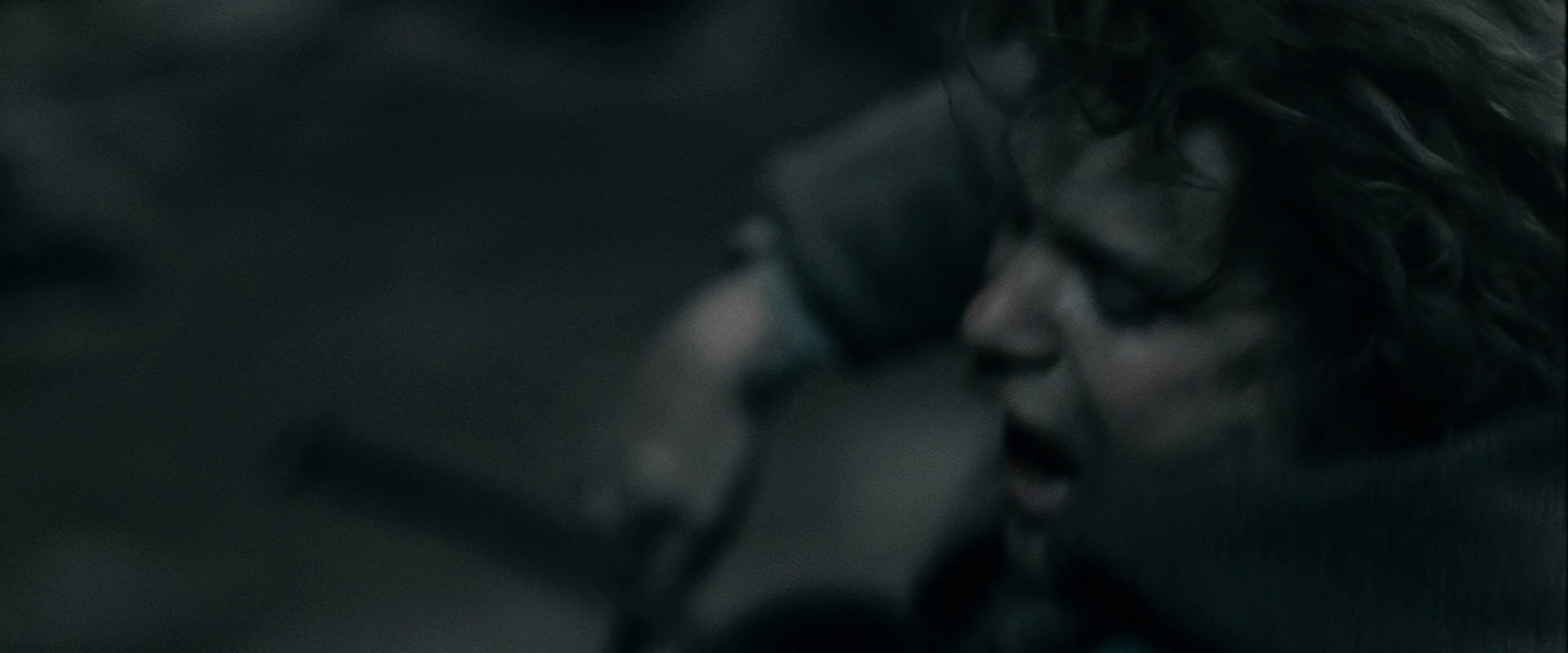 The Lord of the Rings: The Fellowship of the Ring (2001) screencap 16356