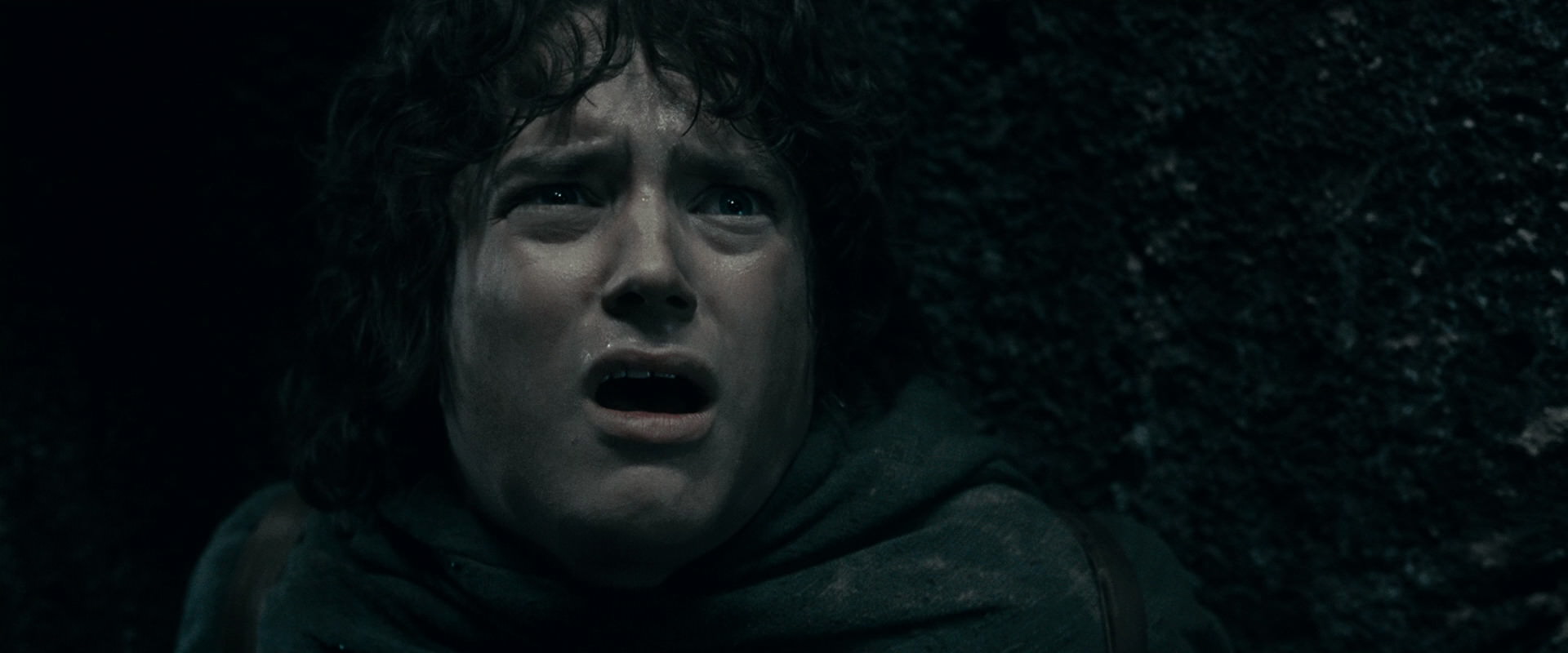 The Lord of the Rings: The Fellowship of the Ring (2001) screencap 16365