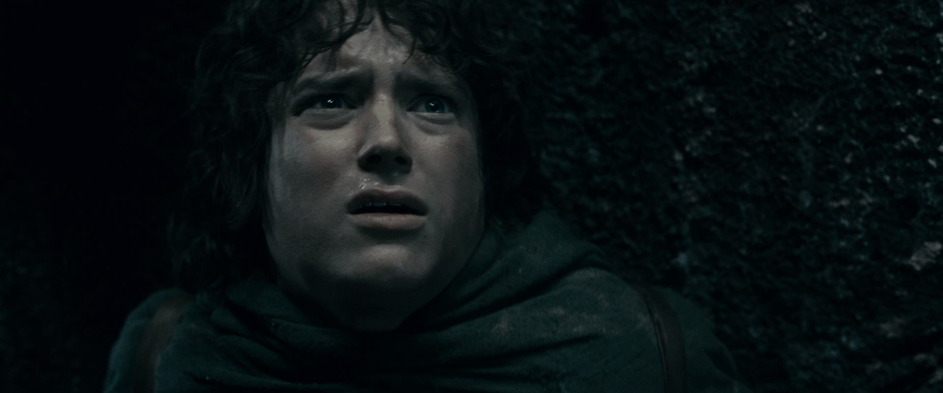 The Lord of the Rings: The Fellowship of the Ring (2001) movie still 16366