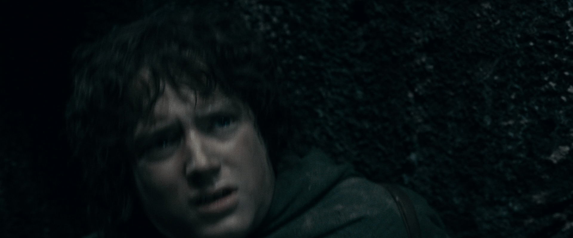 The Lord of the Rings: The Fellowship of the Ring (2001) screencap 16368