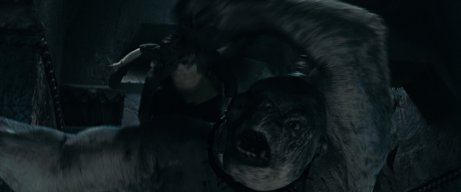 The Lord of the Rings: The Fellowship of the Ring (2001) HD screenshot 16385