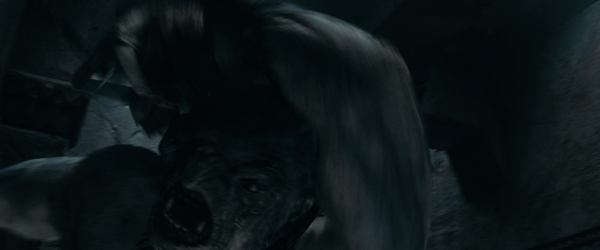 The Lord of the Rings: The Fellowship of the Ring (2001) screencap 16386