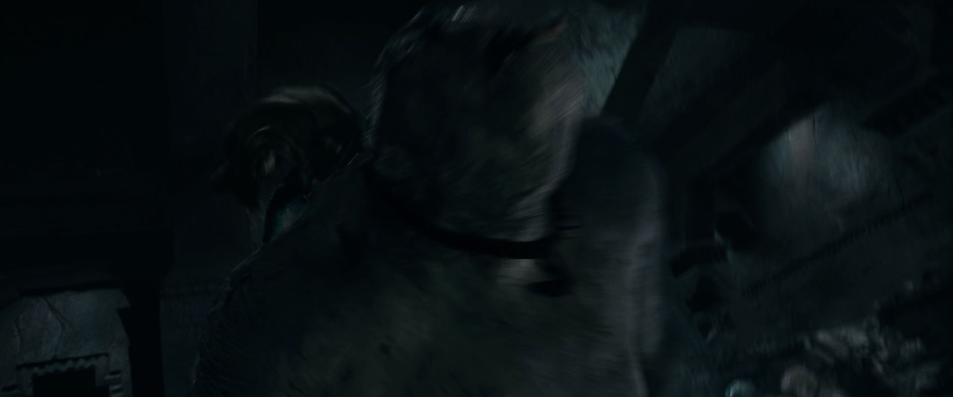 The Lord of the Rings: The Fellowship of the Ring (2001) HD screenshot 16439