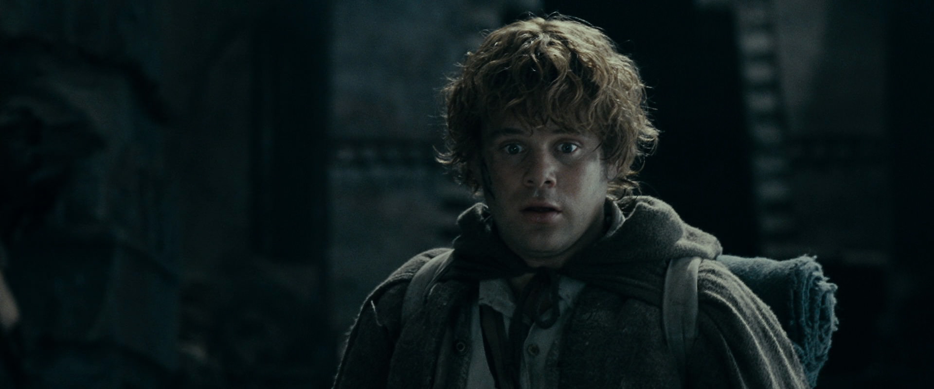 The Lord of the Rings: The Fellowship of the Ring (2001) screencap 16476