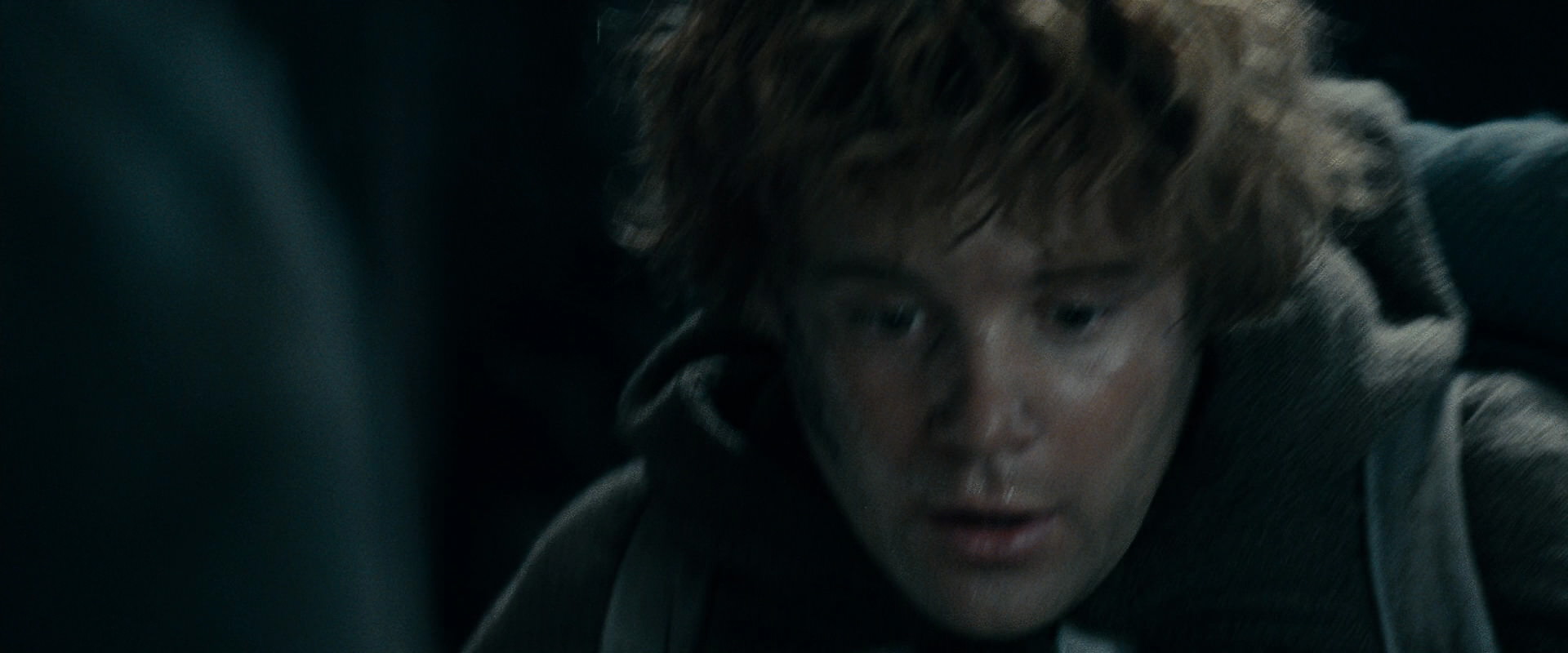 The Lord of the Rings: The Fellowship of the Ring (2001) screencap 16479