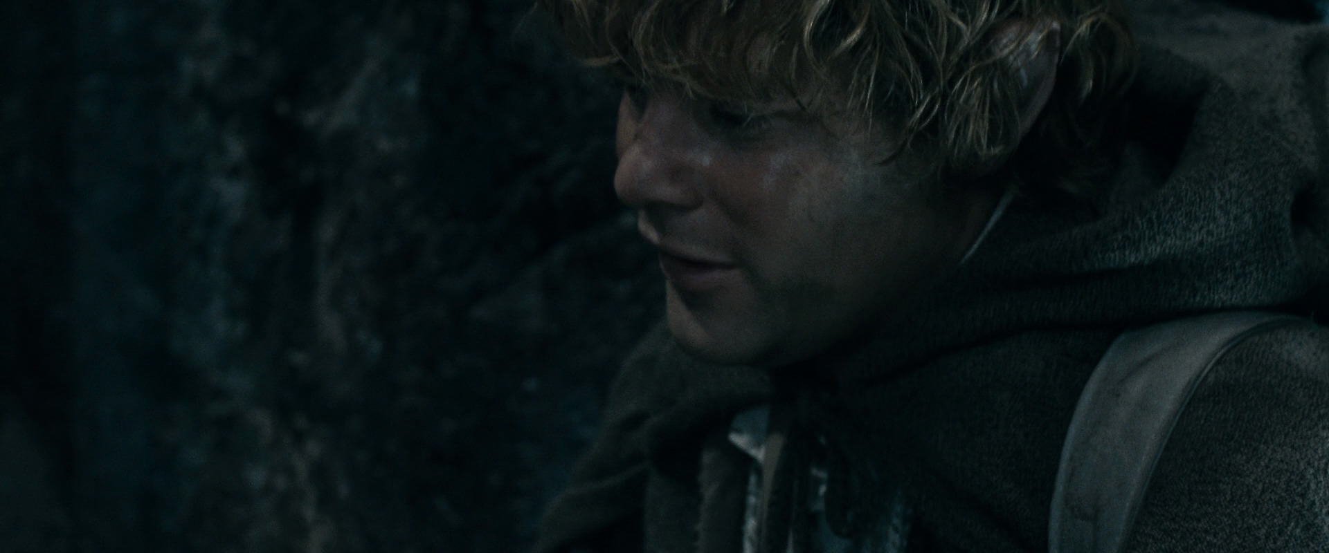 The Lord of the Rings: The Fellowship of the Ring (2001) HD screenshot 16484