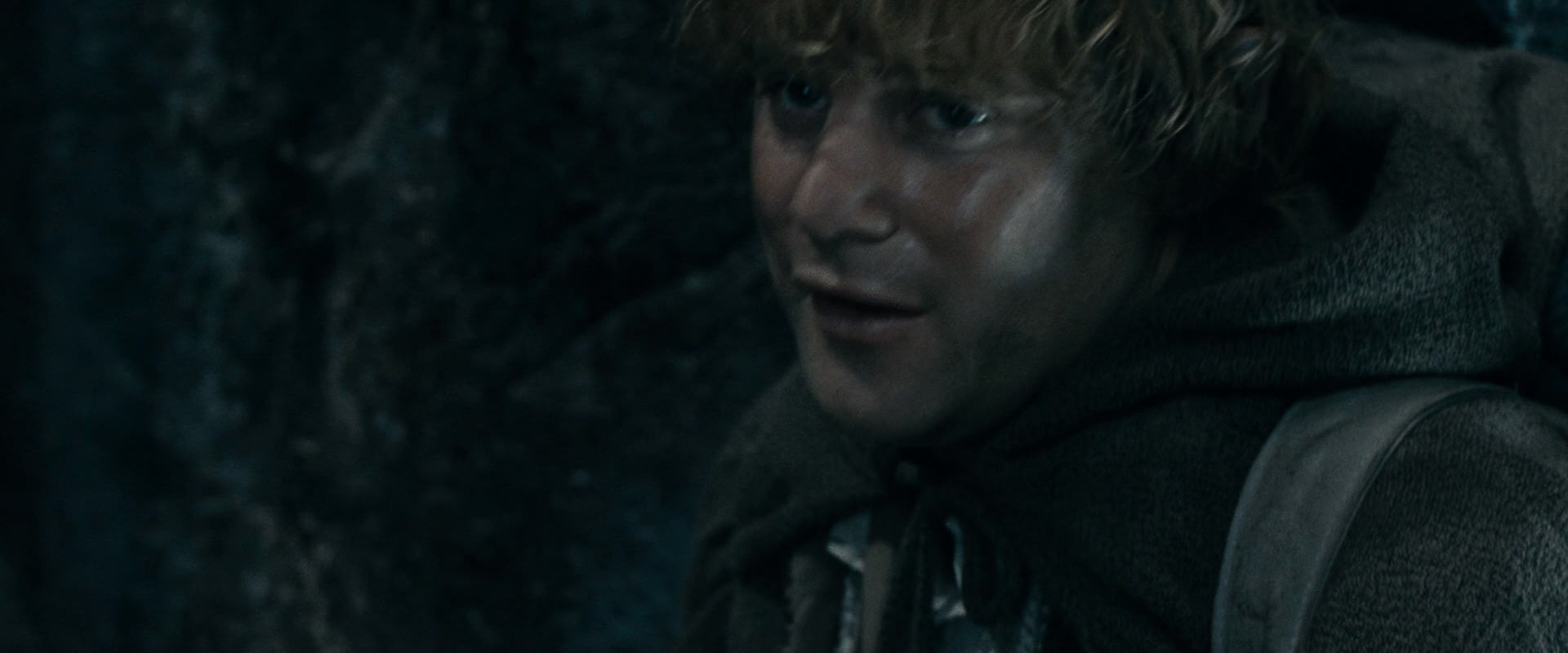 The Lord of the Rings: The Fellowship of the Ring (2001) screencap 16485