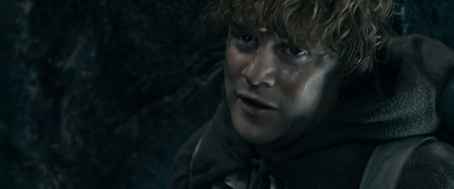 The Lord of the Rings: The Fellowship of the Ring (2001) HD screenshot 16487