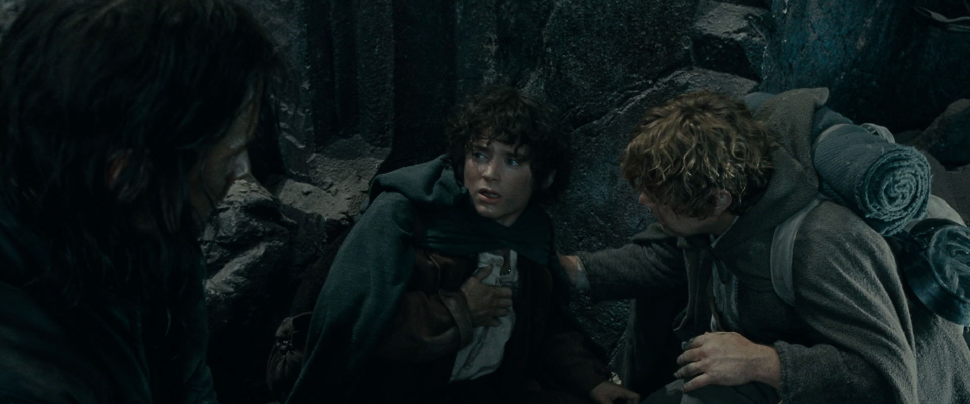 The Lord of the Rings: The Fellowship of the Ring (2001) HD screenshot 16493