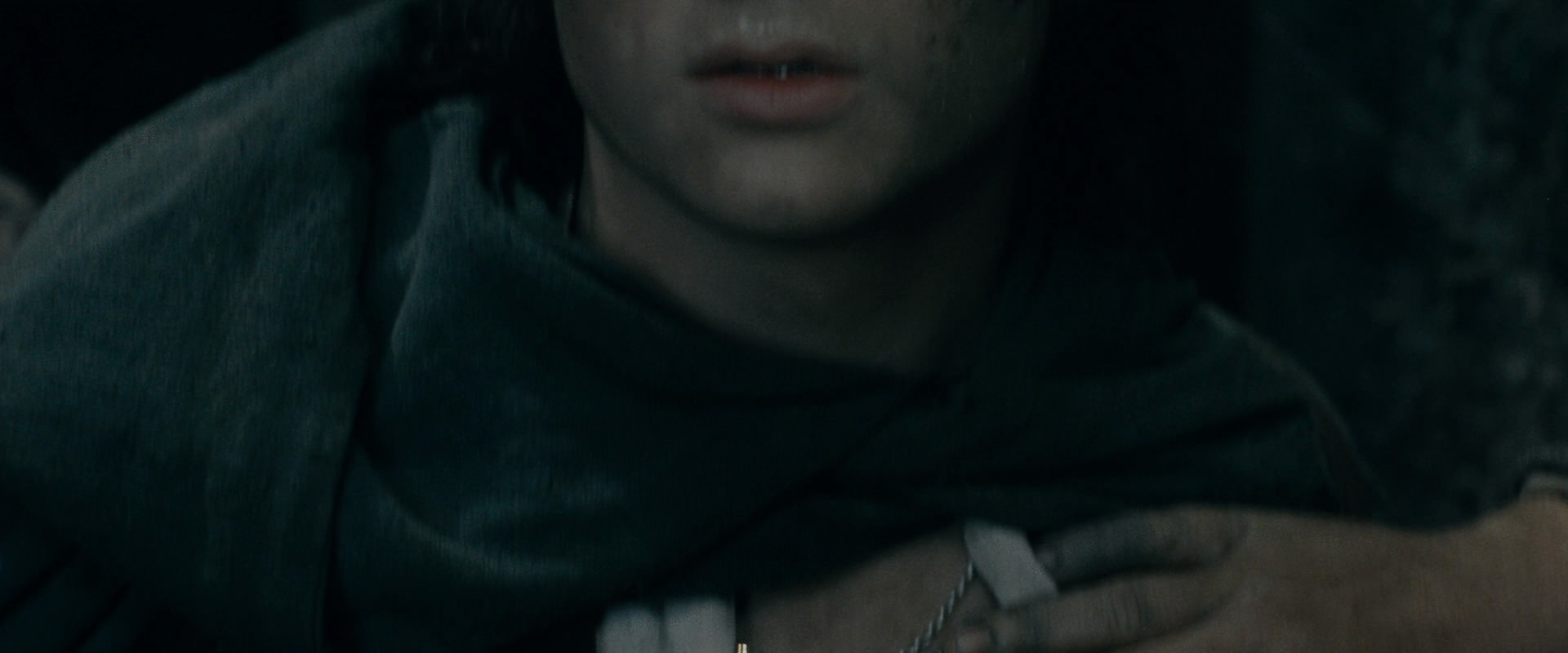The Lord of the Rings: The Fellowship of the Ring (2001) HD screenshot 16538