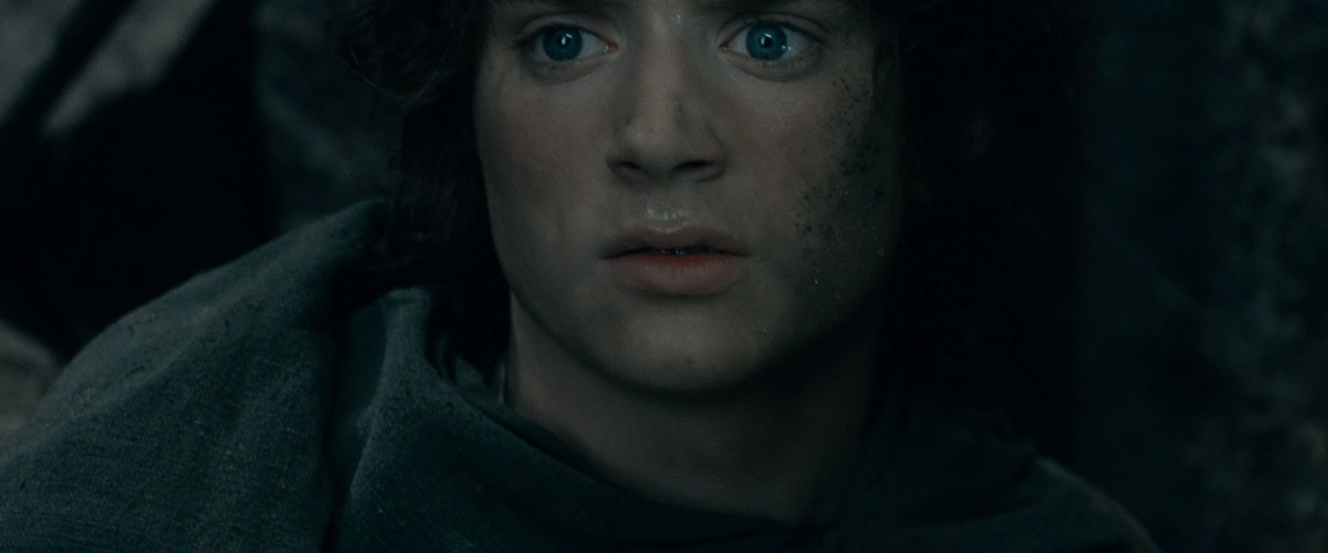 The Lord of the Rings: The Fellowship of the Ring (2001) screencap 16539