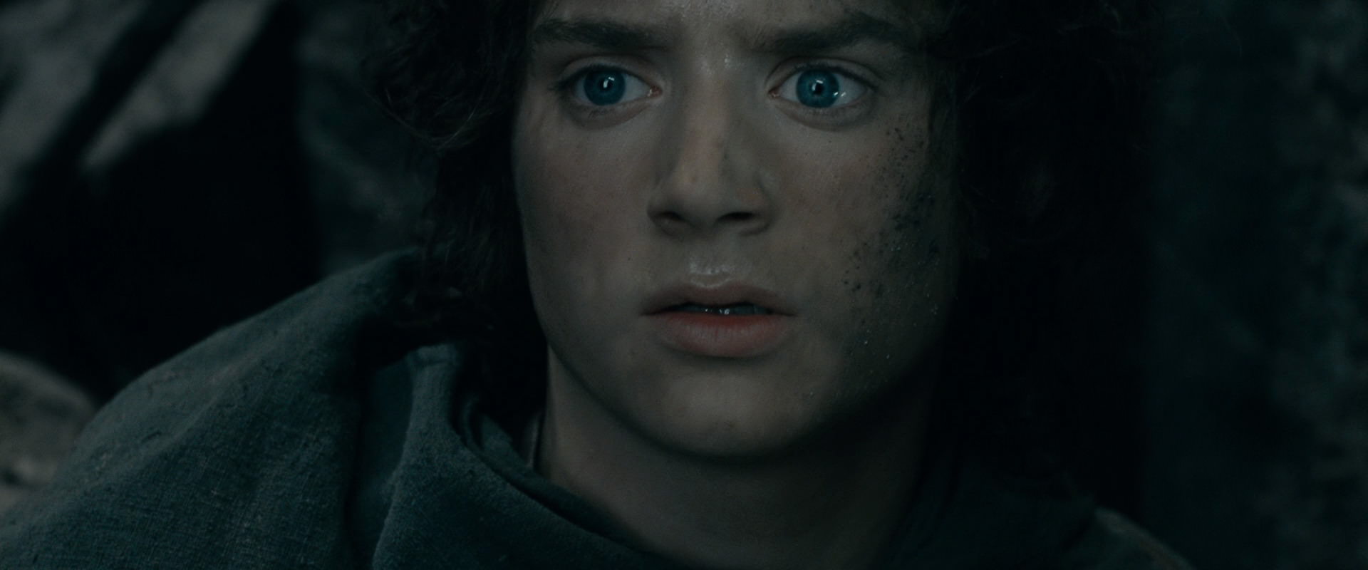 The Lord of the Rings: The Fellowship of the Ring (2001) movie still 16540