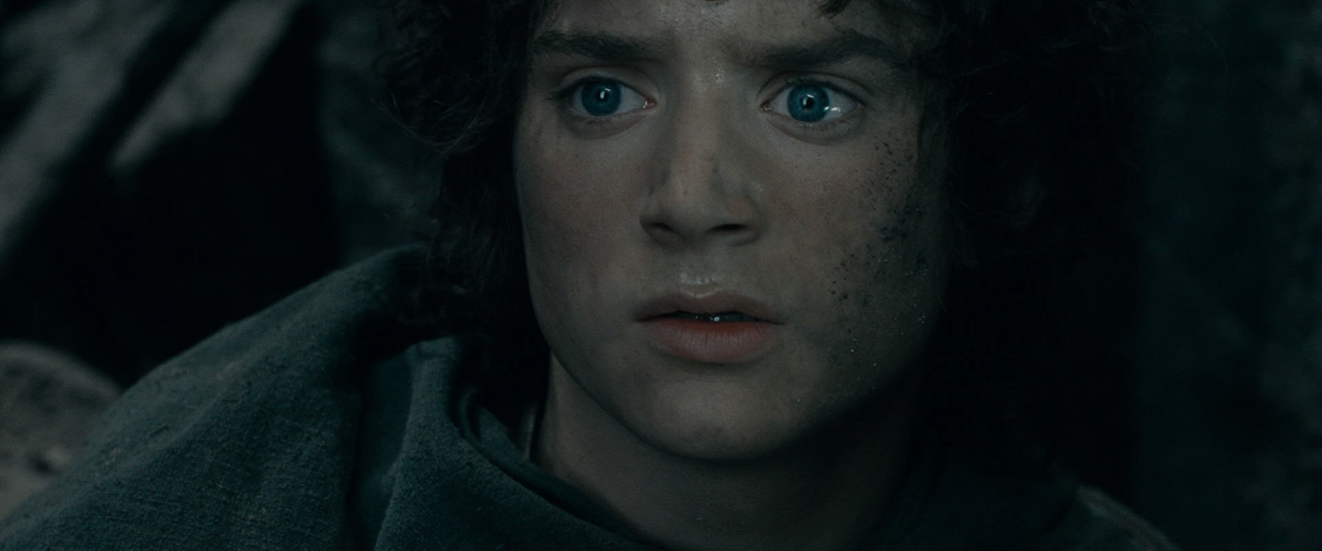 The Lord of the Rings: The Fellowship of the Ring (2001) HD screenshot 16541