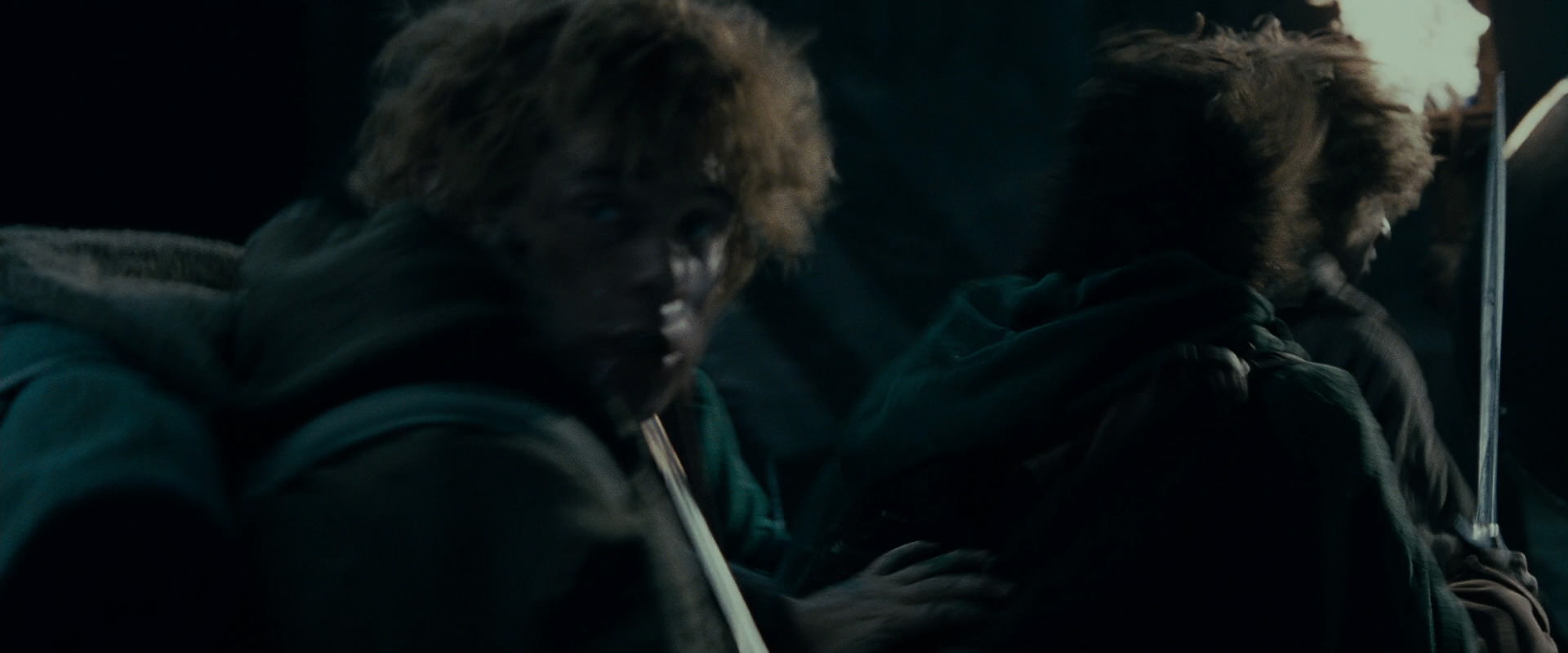 The Lord of the Rings: The Fellowship of the Ring (2001) screencap 16578