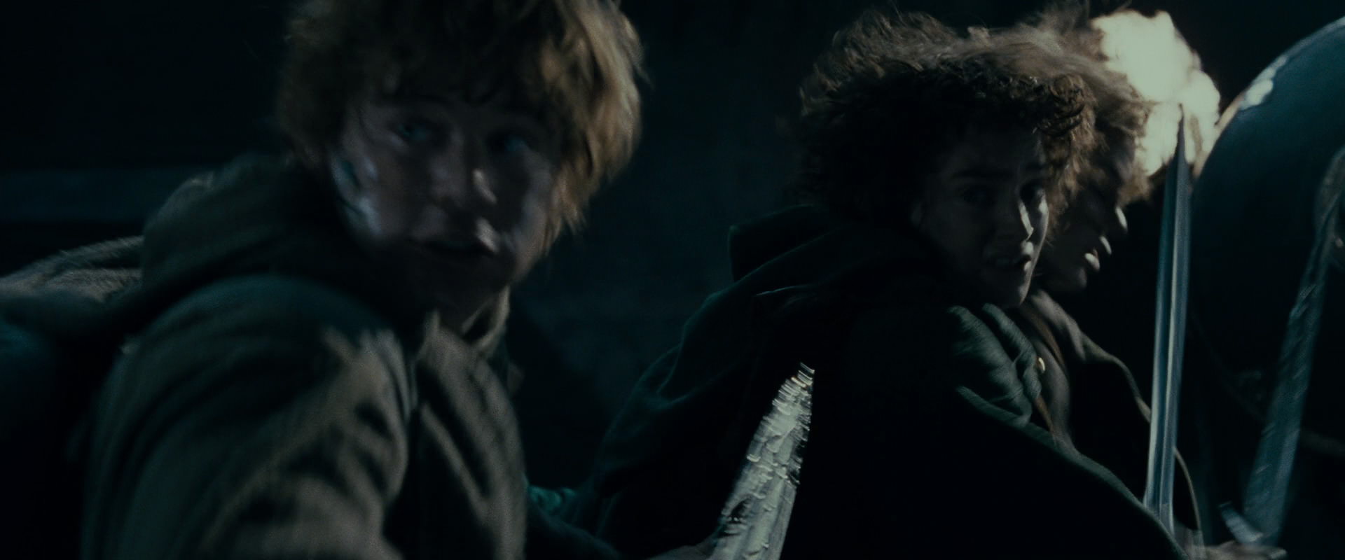 The Lord of the Rings: The Fellowship of the Ring (2001) movie still 16579
