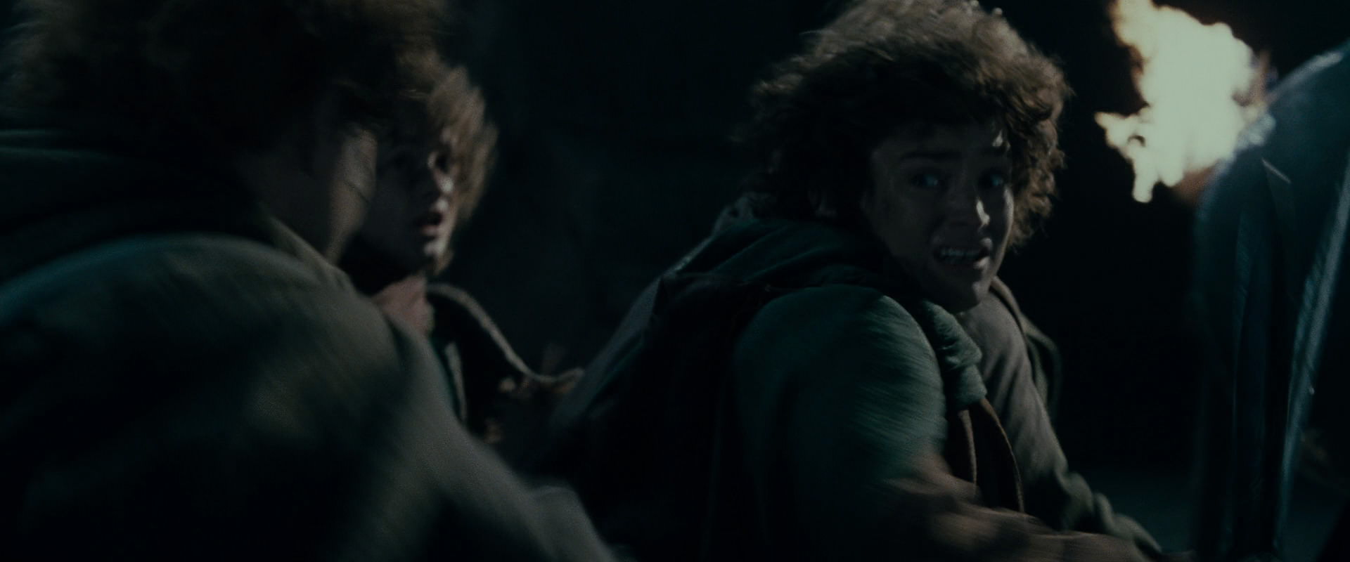 The Lord of the Rings: The Fellowship of the Ring (2001) HD screenshot 16580