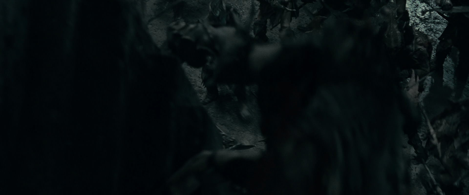 The Lord of the Rings: The Fellowship of the Ring (2001) HD screenshot 16643