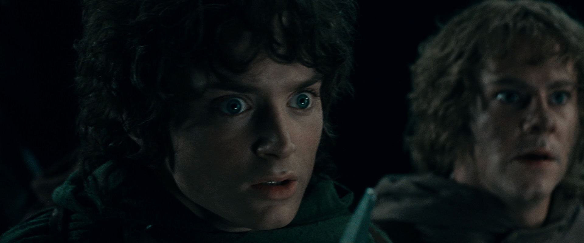 The Lord of the Rings: The Fellowship of the Ring (2001) screencap 16665
