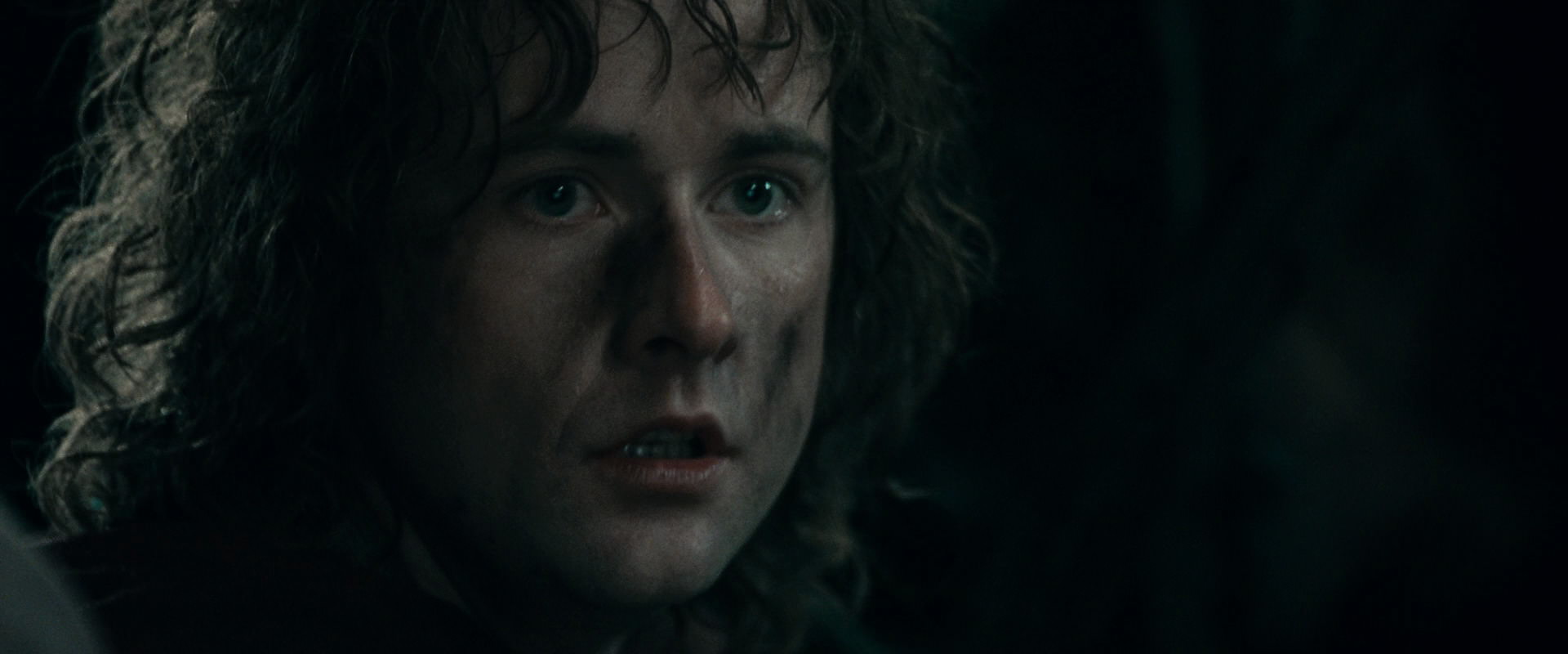 The Lord of the Rings: The Fellowship of the Ring (2001) HD screenshot 16670