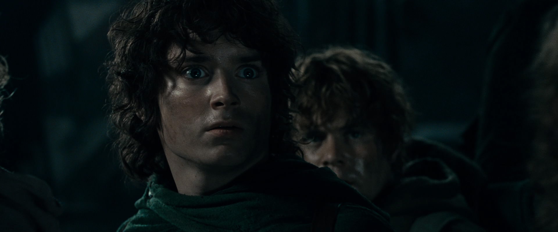 The Lord of the Rings: The Fellowship of the Ring (2001) HD screenshot 16730