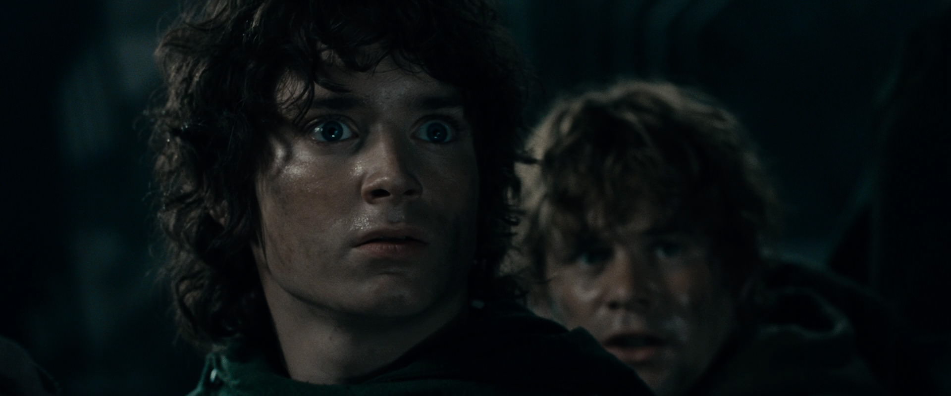The Lord of the Rings: The Fellowship of the Ring (2001) screencap 16731