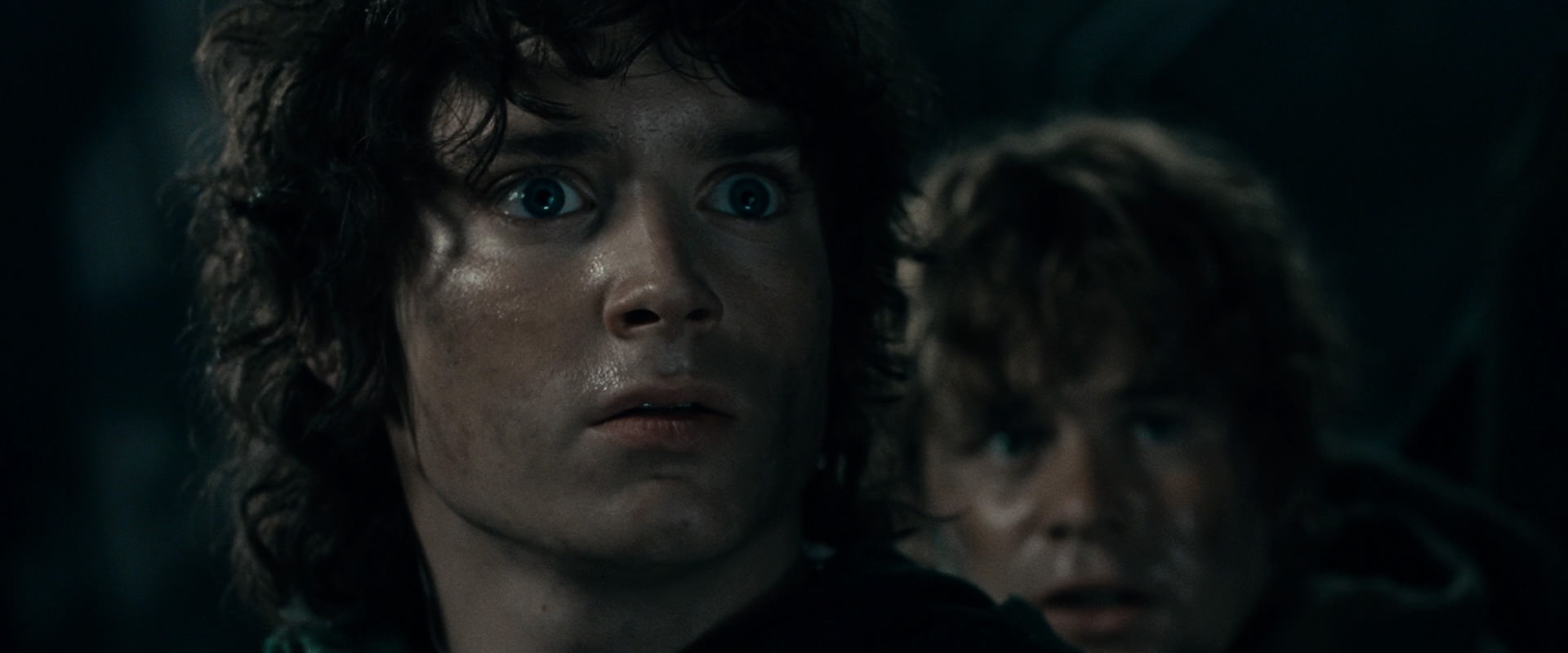 The Lord of the Rings: The Fellowship of the Ring (2001) movie still 16732