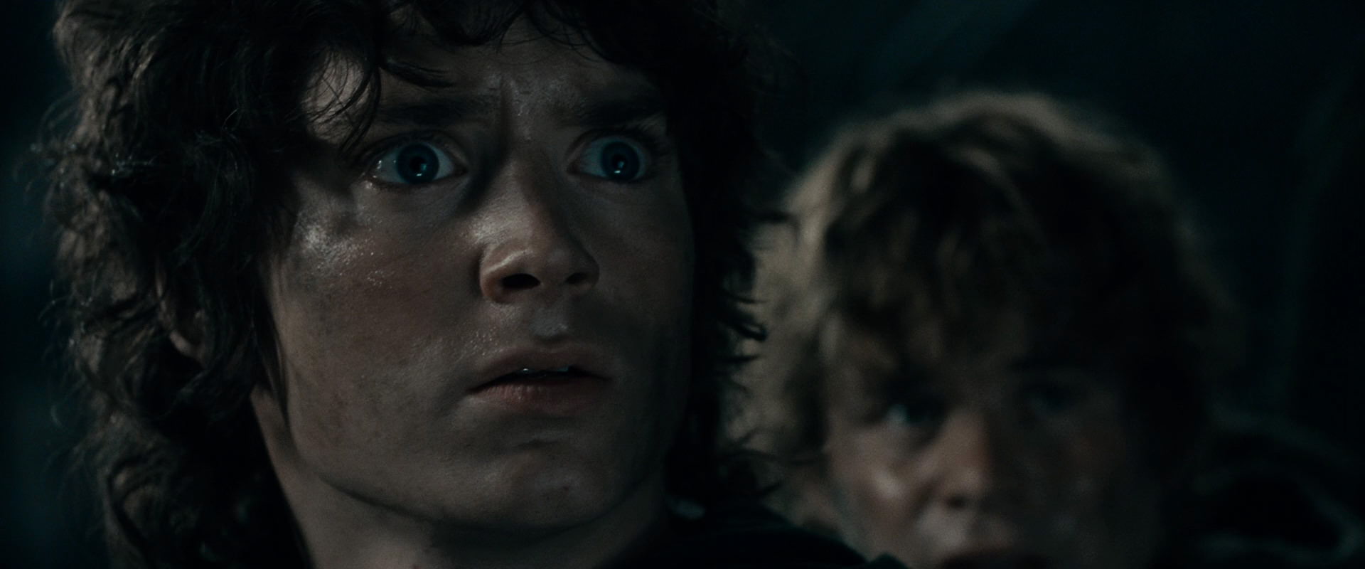 The Lord of the Rings: The Fellowship of the Ring (2001) screencap 16749