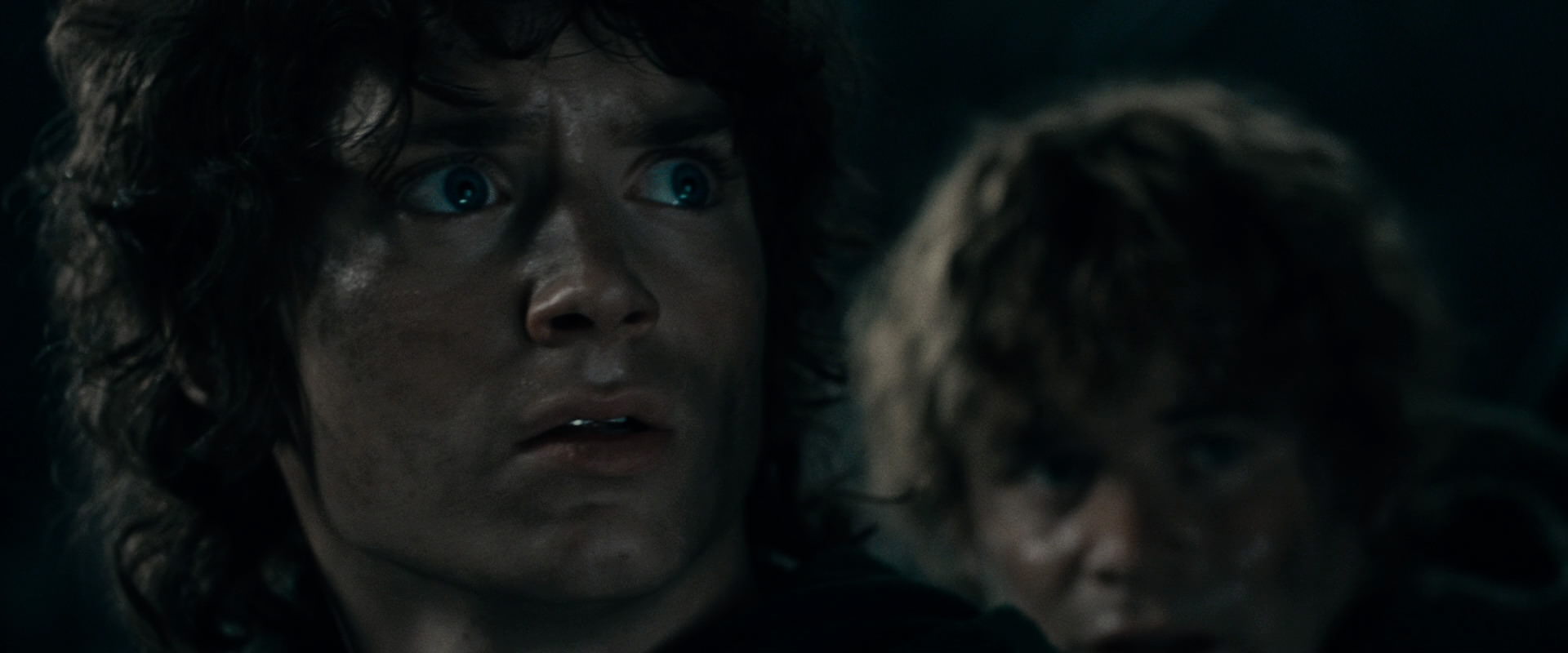 The Lord of the Rings: The Fellowship of the Ring (2001) HD screenshot 16751