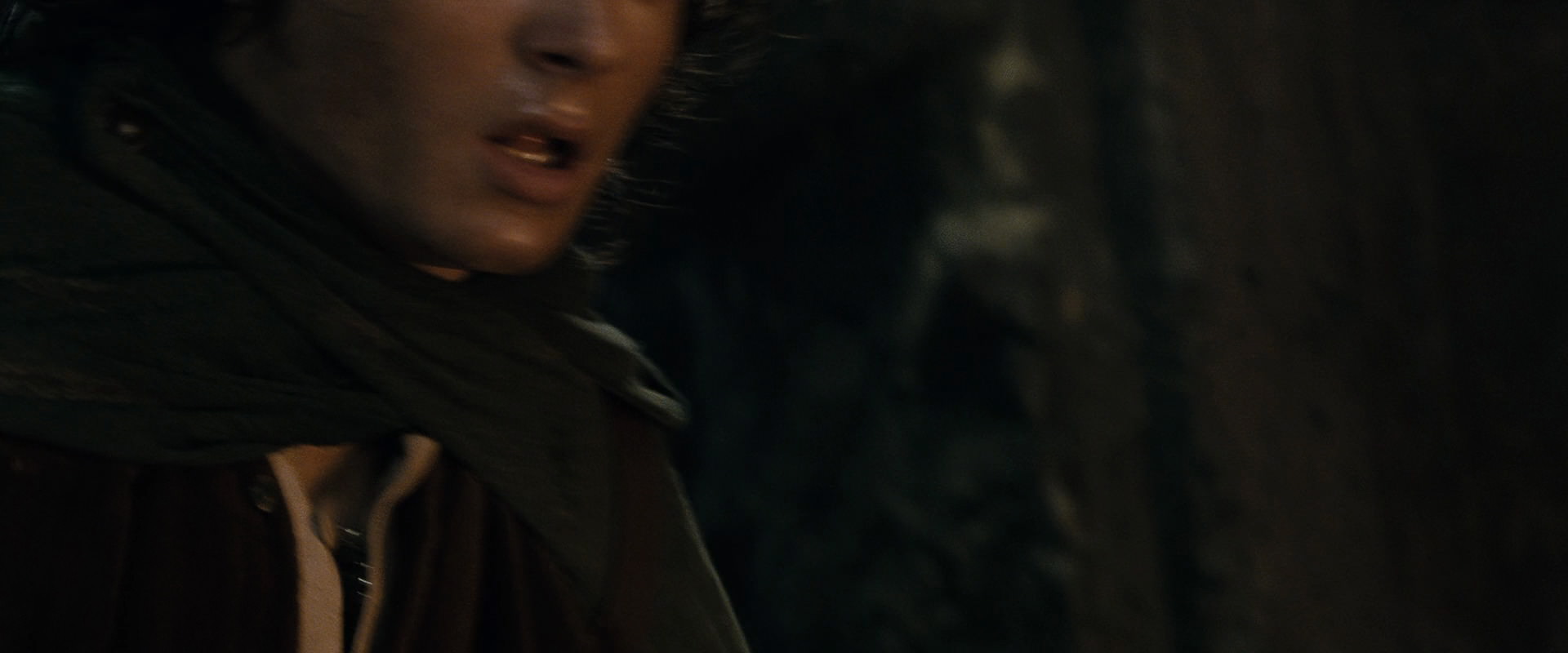 The Lord of the Rings: The Fellowship of the Ring (2001) screencap 16842