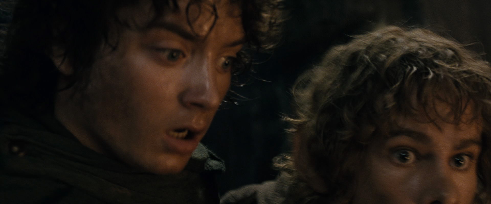 The Lord of the Rings: The Fellowship of the Ring (2001) HD screenshot 16844