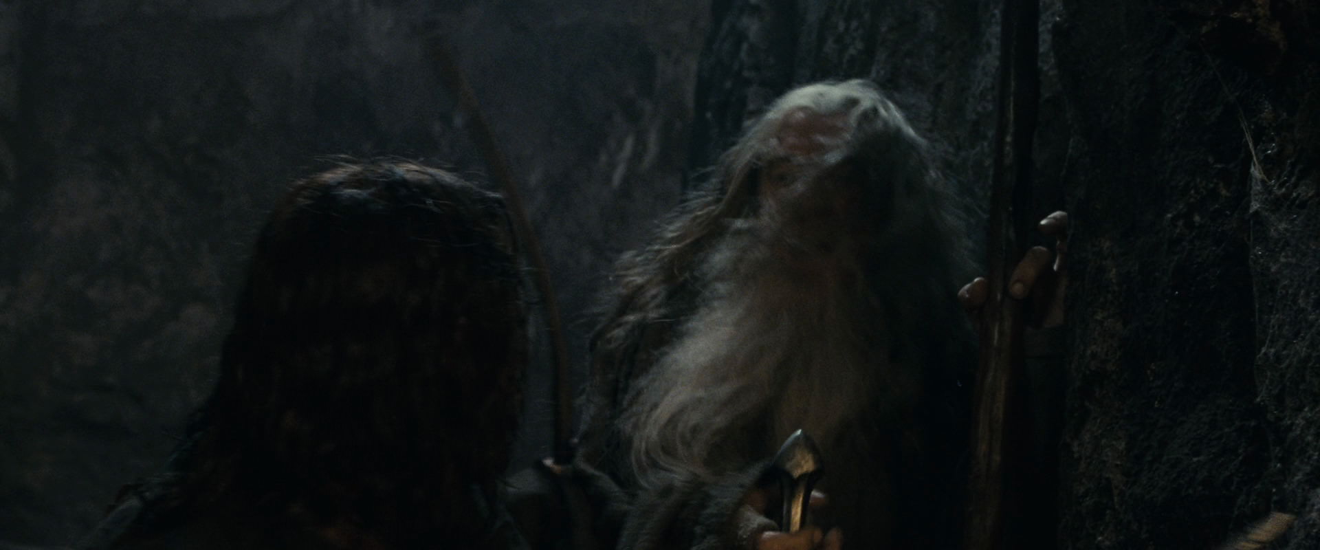 The Lord of the Rings: The Fellowship of the Ring (2001) HD screenshot 16853
