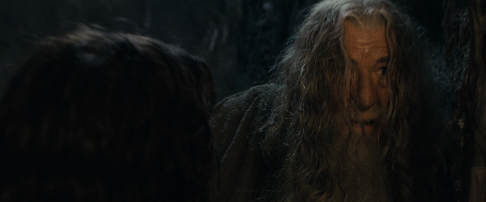 The Lord of the Rings: The Fellowship of the Ring (2001) screencap 16860