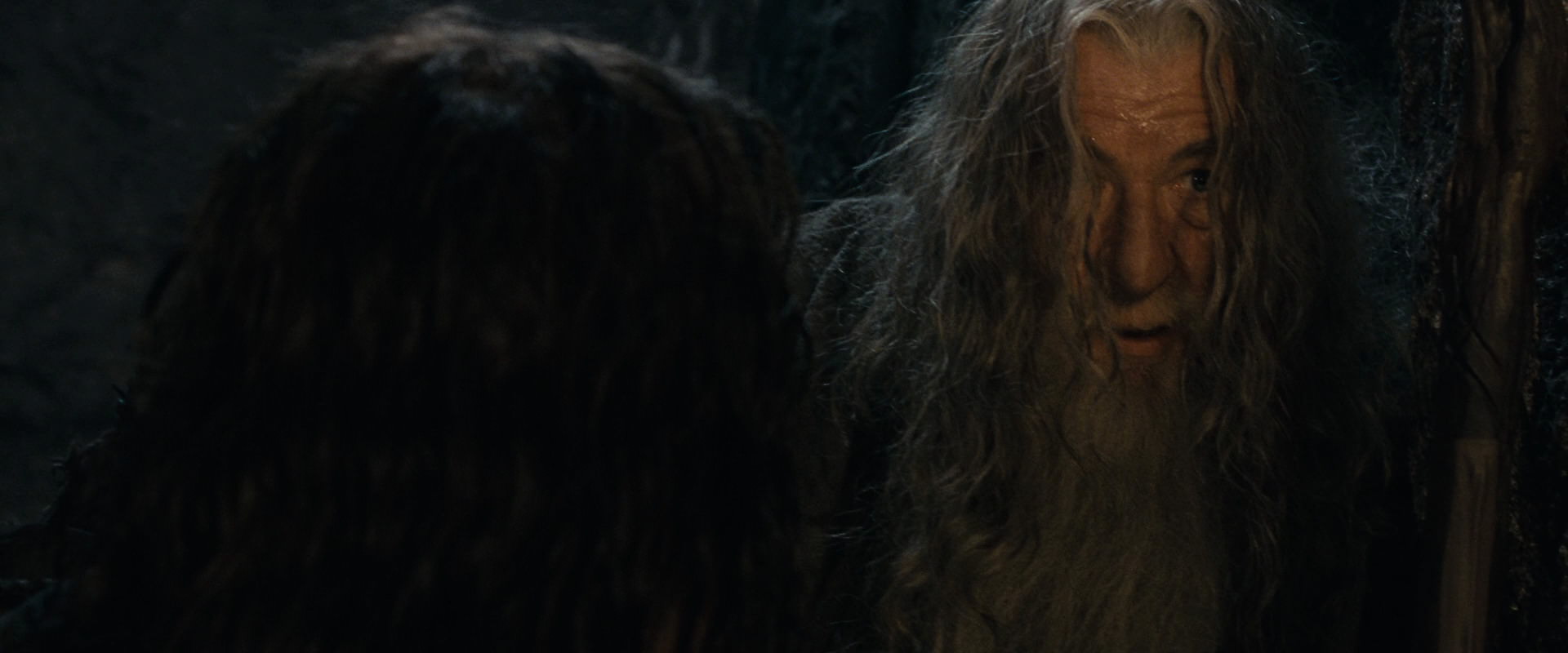 The Lord of the Rings: The Fellowship of the Ring (2001) HD screenshot 16862