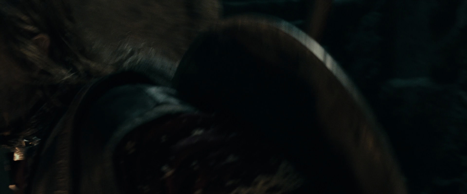 The Lord of the Rings: The Fellowship of the Ring (2001) screencap 16878
